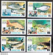 1301  Poissons - Fishes - 2008 - No Gum - Cb - 1,50 - Poissons