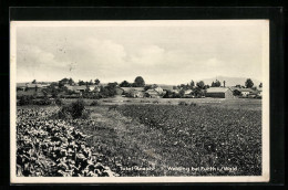 AK Weiding Bei Furth I. Wald, Blick über Felder Auf Den Ort  - Furth