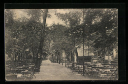 AK Magdeburg, Gasthaus Zur Salzquelle Mit Garten  - Magdeburg