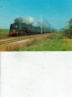 BELGIQUE SNCB-NMBS / LOCALITE EZEMAAL LOCOMOTIVE PACIFIC 231 /TR68 - Trains