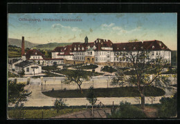 AK Offenburg, Städtisches Krankenhaus Mit Grünfläche  - Offenburg