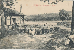 63 // AUVERGNE   La Fontaine Du Berger / Troupeau - Autres & Non Classés