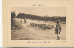 01 // EN BRESSE     Retour Du Marché / Troupeau Moutons - Non Classés