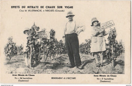 33) FARGUES (GIRONDE) EFFETS DU NITRATE DE CHAUX SUR LA VIGNE DE M. VILLEFRANCHE - VINS DE SAUTERNES - (2 SCANS) - Other & Unclassified