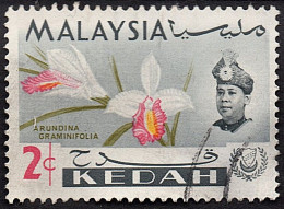 MALAYSIA KEDAH 1965 2c Multicoloured SG116 Used - Malaysia (1964-...)