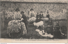 15) EN AUVERGNE - A  LA  FERME - LA TONTE DES MOUTONS - (TRES ANIMEE - 2 SCANS) - Autres & Non Classés