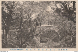 N20- CHINE -  UNE VUE - (2 SCANS) - China