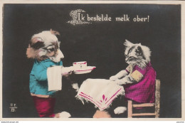 CHAT - CHIEN  " IK BESTELDE MELK OBER ! " CHIEN ET CHAT HUMANISES - (EDITEUR R.E.B. - 2 SCANS) - Gatos