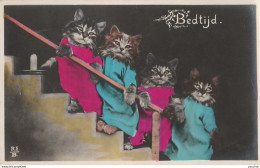 N14- CHAT - CAT - " BEDTIJD " - CHATONS HUMANISES AVEC BOUGIE  - (EDITEUR R.E.D. -2 SCANS) - Katzen