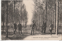  BIVOUAC DU 209° RÉGIMENT D'INFANTERIE - LA GRANDE ALLEE  - (BALISTAI , AGEN - 2 SCANS) - War 1914-18