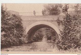 87) CHATEAUNEUF LA FORET - PONT SUR LA COMBADE - (ANIMEE -  EDITEUR SOUMAGNAS - 2 SCANS) - Chateauneuf La Foret