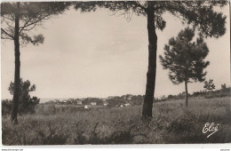 64) GUETHARY (BASSES PYRENEES) CAMPAGNE BASQUE - AU FOND VILLAS DE GUETHARY ET LA MER - (OBLITERATION DE 1950 - 2 SCANS) - Guethary