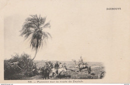 07- DJIBOUTI - PALMIER SUR LA ROUTE ZEYLAH - (ANIMEE - 2 SCANS) - Djibouti