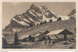 06- BRAUNWALD - ALP  MIT ORSTOCK - (OBLITERATION DE 1932 - 2 SCANS) - Sonstige & Ohne Zuordnung