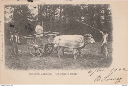 O5-40) AU PAYS LANDAIS - UN CHAR A BOEUFS - (BELLE ANIMATION - OBLITERATION DE  1902 - (2 SCANS) - Autres & Non Classés