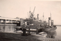 Photographie Photo Amateur Vintage Snapshot Algérie Marine Bateau Militaire - Bateaux