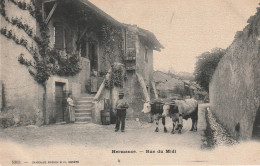 HERMANCE RUE DE MIDI - Hermance