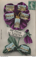 P7-44) NANTES - UNE PENSEE - Nantes