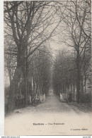 P2-80) DOULLENS - UNE PROMENADE  - (ANIMEE - PERSONNAGE - 2 SCANS) - Doullens