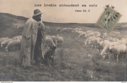 LES BREBIS ENTENDENT SA VOIX - JEAN 10 , 3 - RELIGION - BIBLE - BERGER AVEC CHIEN ET  TROUPEAU DE MOUTONS - Other & Unclassified