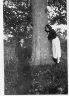 Photographie Photo Amateur Vintage Snapshot Couple Arbre Tree Amoureux Lovers - Personnes Anonymes