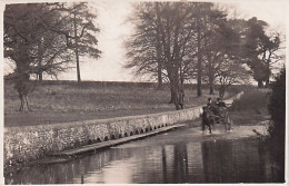 Sussex - Stoughton - Stansted Park - Le "Lavant Sortant Du Stansted Park - 1915 - Autres & Non Classés