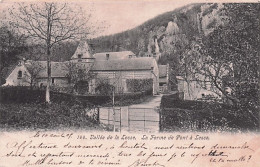 Dinant - Vallée De La Lesse La Ferme De Pont-à-Lesse - 1905 - Dinant