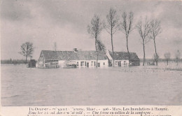 HAMME - Overstroomingen Van Maart 1906 - Inondations De Mars 1906 - Une Ferme Au Milieu De La Camapgne - Hamme