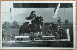 HORSE, PFERD, CAVALLO, CHEVAL, GRAZ, AUSTRIA, ÖSTERREICH - Pferde