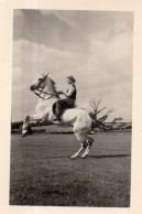 Photographie Photo Amateur Vintage Snapshot Cheval Horse Cavalière Dressage - Sonstige & Ohne Zuordnung