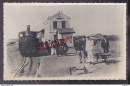 Fixe Algérie Koléa La Gare Animation Locomotive Photo Format Carte Photo - Trains