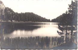 FR66 LES BOUILLOUSES - Carte Photo Goudin - Le Lac Noir - Belle - Sonstige & Ohne Zuordnung