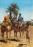 Morocco Meharistes Ethnic Types And Scenes Camel Riders - Autres & Non Classés