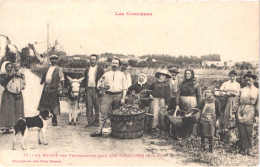 FR66 LES CORBIERES - Labouche 71 - Le Retour Des Vendangeurs - Vin Vendange âne Attelé - Gros Plan - Animée - Belle - Sonstige & Ohne Zuordnung