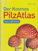 Der Kosmos-PilzAtlas : über 1000 Fotos - Old Books
