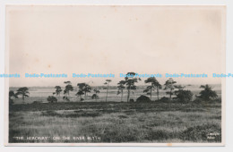 C005753 Heronry On River Blyth. Raynor. Salmon. RP - Welt