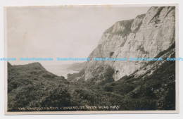 C005769 Smugglers Cave. Undercliff. Beer Head. 11073. RP. Chapman - World
