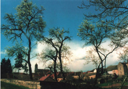 FRANCE - Printemps à Filain - Photo Marie Odile Jeannot - Vue Sur Le Village - Carte Postale Ancienne - Vesoul