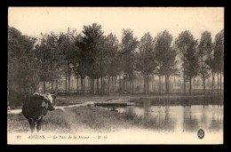 80 - AMIENS - LE PARC DE LA HOTOIE - VACHE - Amiens