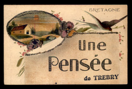 22 - TREBY - UNE PENSEE - CARTE ILLUSTREE - PAILLETTES - Autres & Non Classés