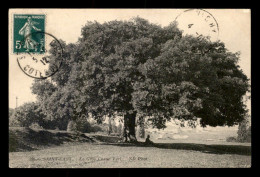 22 - ST-CAST - LE GROS CHENE VERT - ARBRE NOMME - Saint-Cast-le-Guildo