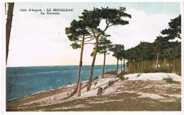 33   LE MOULLEAU LA  CORNICHE    9X14 - Other & Unclassified