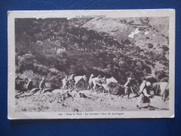 CPA CARTE POSTALE  - MAROC - DANS LE BLED - LA COLONNE A FLANC DE MONTAGNE - Autres & Non Classés