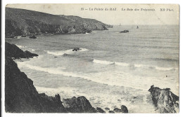 29  Pointe Du Raz -  La Baie Des Trepasses - Sonstige & Ohne Zuordnung