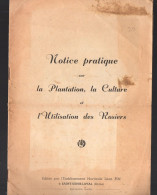 Notice Pratique Pour Plantation Culture Utilisation Des Rosiers  (voir La Description)  (M6535) - Garten