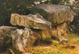 MONTGUYON LE DOLMEN DE PIERRE-FOLLE CPSM 10X15 TBE - Sonstige & Ohne Zuordnung