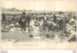 LE HAVRE  LA PECHE AUX CRABES - Ohne Zuordnung