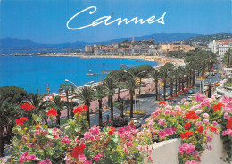 06 CANNES - Cannes