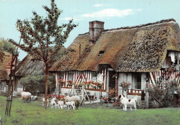 14 NORMANDIE FERME - Autres & Non Classés