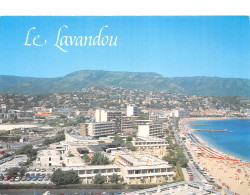 83 LE LAVANDOU - Le Lavandou